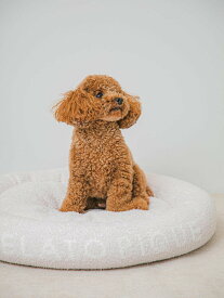 【SALE／30%OFF】GELATO PIQUE CAT&DOG 【CAT&DOG】【販路限定商品】ベビモコベッド ジェラートピケ ペット用品 ペット用ベッド・マット・クッション ホワイト ブルー ピンク【送料無料】