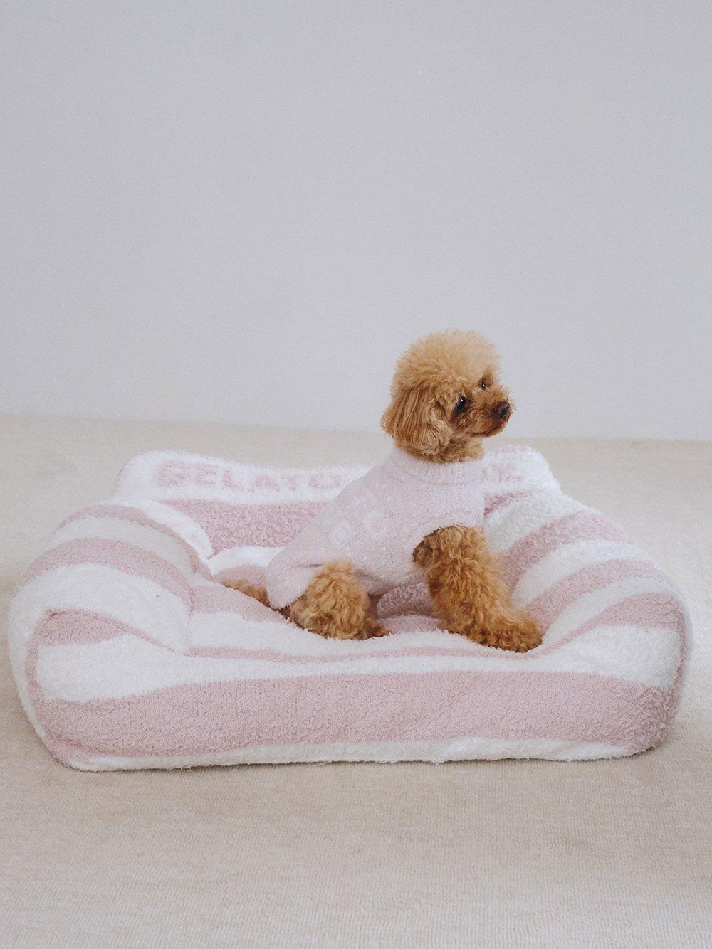 gelato pique｜【CAT&DOG】【販路限定商品】ジェラートソファ型ベッド