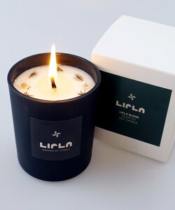 BIRTHDAY BAR yLIFLA Ctz Candle Lh o[XfCo[ CeAEG fBt[U[EEA}ICELh S[h