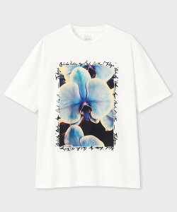 Paul Smith yby R izPaul Smith "Orchid" vgTVc |[EX~X gbvX Jbg\[ETVc zCgyz
