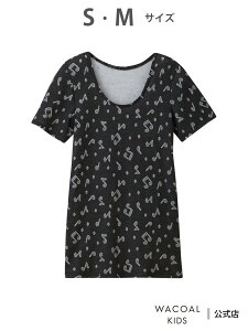 R[_LbY R[ LbY Ci[ Ci[ 炩Ȕ 2  R[ LbYEWjA Ci[E[EFA ̑̃Ci[E[EFA u