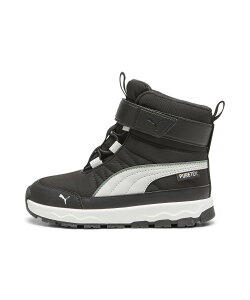 PUMA LbY v[} G{u sAebNX u[c 17-21cm v[} V[YEC Xj[J[ ubNyz