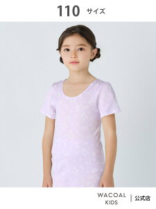 R[_LbY R[ LbY Ci[ Ci[ 炩Ȕ 2  R[ LbYEWjA Ci[E[EFA ̑̃Ci[E[EFA