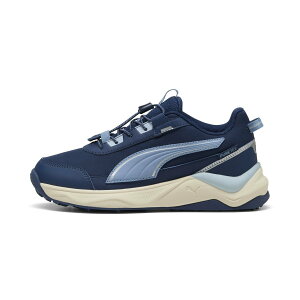 PUMA �L�b�Y �G�{���u 2.0 �g���C�� PTX ���E �X�j�[�J�[ 22-25cm Evolve2.0 TrailPuretex Lo Jr �v�[�} �V���[�Y�E�C �X�j�[�J�[ �u���[�y���������z