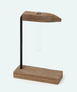 studio CLIP ydaily CLIPzÍވ֑} M X^fBINbv CeAEG t[x[XEԕr