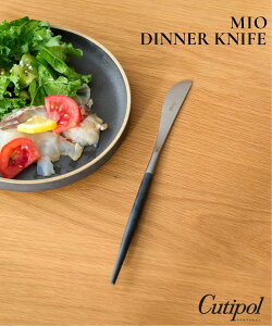 JOURNAL STANDARD FURNITURE yCutipol/N`|[z MIO DINNER KNIFE BK*SV fBi[iCt W[iX^_[ht@j`[ HEELb`pi HEM ubN