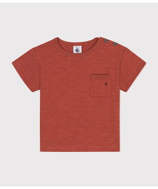 PETIT BATEAU コットンプリント半袖Tシャツ プチバトー トップス カットソー・Tシャツ ブラウン ネイビー グリーン ホワイト【送料無料】