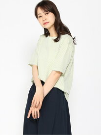 楽天市場 クロコダイル レディースファッション の通販