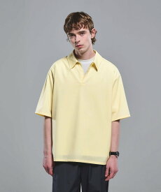 UNITED ARROWS green label relaxing ウォッシャブルトロ スキッパー 半袖 シャツ プルオーバー -ウォッシャブル・ストレッチ- ユナイテッドアローズ グリーンレーベルリラクシング トップス シャツ・ブラウス ブラウン グレー イエロー【送料無料】