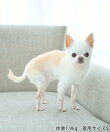 【DOG】ボア衿アソート柄ベスト
