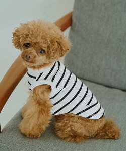 ROPE' PICNIC PASSAGE yDOGzN{[_[^Ngbv ysNjbN ybgpi ybgEFAEybg uE lCr[ ubN