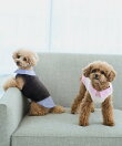 【DOG】シャツレイヤードフェザーベスト