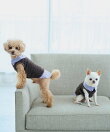 【DOG】シャツレイヤードフェザーベスト