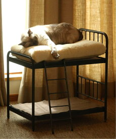 JOURNAL STANDARD FURNITURE SENS BUNK BED for CAT サンクバンクベッド ジャーナルスタンダードファニチャー インテリア・生活雑貨 その他のインテリア・生活雑貨【送料無料】