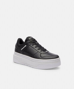 COACH OUTLET yzvbgtH[ Xj[J[ R[`@AEgbg V[YEC Xj[J[ ubNyz