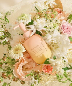 to/one XEB[g u[P nh&{fB~N g[ {fBPAEI[PA {fBN[EIC