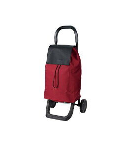 BACKYARD FAMILY RER cocoro [h VbsOJ[g [ obO X[cP[XEL[obO ubN O[ Cbhyz