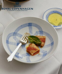 Royal Copenhagen [����] ���C�����R�y���n�[�Q�� ���`�[�t �{�E�� 21.5cm ���C���� �R�y���n�[�Q�� �H��E�������E�L�b�`���p�i �H��E�M�y���������z
