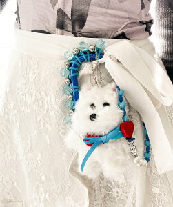 Casselini Casselini(LZ[j)Jri`[ LZ[j t@bVG Kl bh ubN u[yz