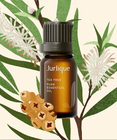 Jurlique 【公式】ジュリーク ティートリー ピュアエッセンシャルオイル ジュリーク フレグランス その他のフレグランス