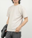 《ビジカジ対応》ローゼンジカノコ 抗菌防臭CN ドレスTシャツ 26SS