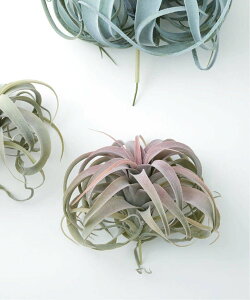 JOURNAL STANDARD FURNITURE yBrown./uEzLZOtBJ sbN bh tFCNO[ W[iX^_[ht@j`[ CeAEG t[x[XEԕr O[