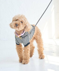 ySALE^50%OFFzROPE' PICNIC PASSAGE yDOGztFCNXG[hJ[ MTCY ysNjbN ybgpi ybgEFAEybg p[v x[W