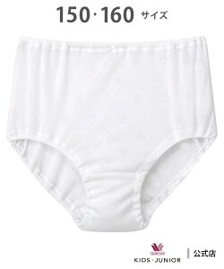 R[_LbY WACOAL KIDS/R[ LbYEWjA V[c I[KjbNRbgv~A R[ LbYEWjA Ci[E[EFA V[c O[ zCg