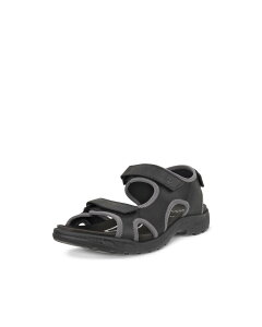 ySALE^20%OFFzECCO ECCO I[Y {v Y AEghAT_ GR[ V[YEC Xb| ubNyz