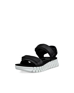 ECCO ECCO O[u \ {v fB[X T_ GR[ V[YEC T_ ubNyz