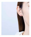 ピアス オニキス