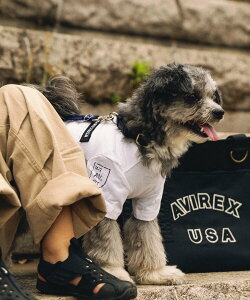 AVIREX t@eB[O TVc/FATIGUE T-SHIRT ABbNX ybgpi ybgEFAEybg zCg lCr[ ubN