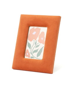 Francfranc xAt[ IW tt CeAEG tHgt[Eʐ^ IW