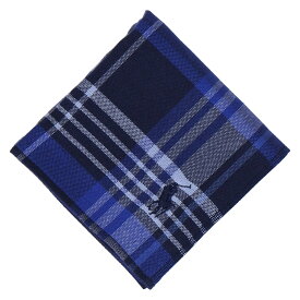 POLO RALPH LAUREN ポロ ラルフ ローレン メンズ ミニタオル インターモードカワベ ファッション雑貨 ハンカチ・ハンドタオル ネイビー グリーン