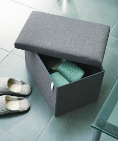 LAKOLE ストレージスツール[モノクロ](W48cm) ラコレ インテリア・生活雑貨 収納用品・棚・ラック ホワイト グレー