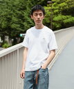BEAMS F LACOSTE / クルーネック Tシャツ 25SS ｜ギフト 定番 25SS きれいめ カジュアル 春夏 プレゼント ユニセックス ビームス メン トップス カットソー・Tシャツ ブラック ネイビー ホワイト【送料無料】