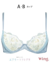 楽天市場 ブラジャー ショーツ セット ワコールの通販