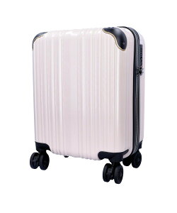 BACKYARD FAMILY wise:ly CY[ X[cP[X 27L [ obO X[cP[XEL[obO lCr[ x[W O[ uE Vo[yz