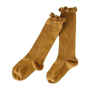 condor condor �C�� �q���p 7~8�� ���[�X�G�b�W���O�J�t �j�[�\�b�N�X ���Ǝ� ���w�� �V�[�� �C���E���b�O�E�F�A �C��
