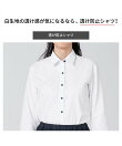 【透け防止】 レギュラー 長袖 形態安定 レディースシャツ BL01J701AB14R1S-90