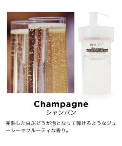 PROLITEC PROLITEC/tOX AirQ160pJ[gbW Vp AgXNGA CeAEG fBt[U[EEA}ICELh zCgyz