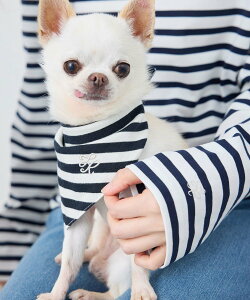 ySALE^50%OFFzROPE' PICNIC PASSAGE yDOGzo_i XJ[t ysNjbN ybgpi ybgEFAEybg sN bh lCr[