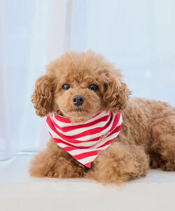 ySALE^50%OFFzROPE' PICNIC PASSAGE yDOGzo_i XJ[t ysNjbN ybgpi ybgEFAEybg sN bh lCr[