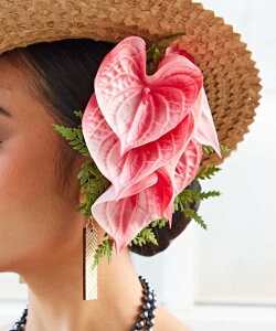 Maunaloa y}EiAzAXENbv A~iRNV wAANZT[ ob^EwANbvEwAs zCg bh sN