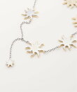 FANATSIA SUNS ベルト