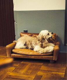 JOURNAL STANDARD FURNITURE FRESNO FOR DOG-S フレスノ ドッグ ペット用ソファ ジャーナルスタンダードファニチャー インテリア・生活雑貨 その他のインテリア・生活雑貨【送料無料】