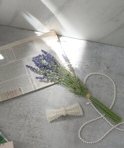 ySALE^20%OFFzstyiro styiro/A[eBtBVt[ x_[u[P  CXg[ CeAEG IuWFEuEA[g p[v