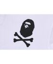 APE CROSSBONE POLO