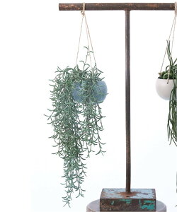 JOURNAL STANDARD FURNITURE yBrown./uEzz nMO|bg tFCNO[ W[iX^_[ht@j`[ CeAEG t[x[XEԕr O[yz