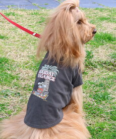 【SALE／10%OFF】KRIFF MAYER (U)ウェットプロテクトT(シュナウザー) クリフメイヤー ペット用品 ペットウェア・ペット服 パープル ホワイト オレンジ グレー グリーン